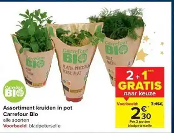 Hyper Carrefour Assortiment kruden in pot aanbieding