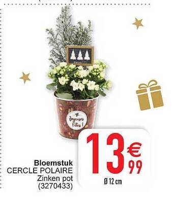 Cora Bloemstuk aanbieding
