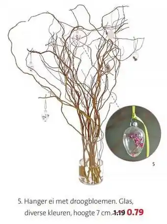 Hanger ei met droogbloemen