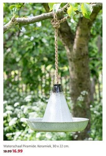 Intratuin Waterschaal piramide 30x22cm aanbieding