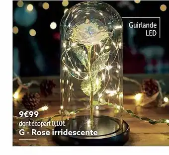 Rose irridescente