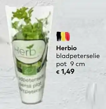 Bio Planet Herbio bladpeterselie pot aanbieding