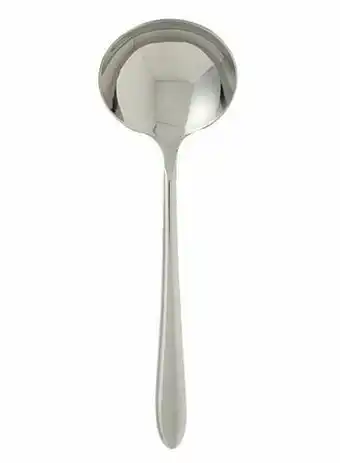 HEMA HEMA Sauslepel Bari (zilver) aanbieding