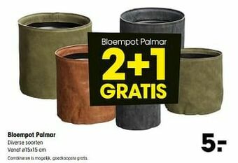 Kwantum Bloempot palmar aanbieding
