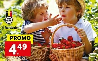Lidl Aardbeien aanbieding