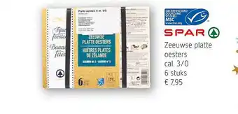Zeeuwse platte oesters