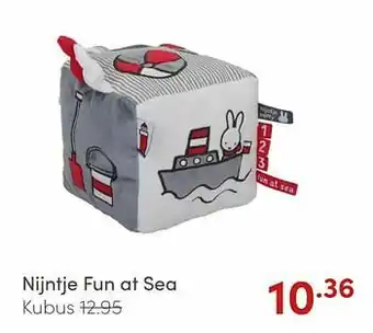 Nijntje fun at sea kubus