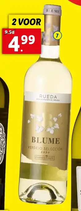 Lidl Blume Rueda DO aanbieding