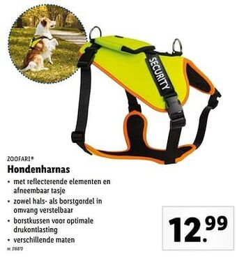 Lidl Hondenharnas aanbieding