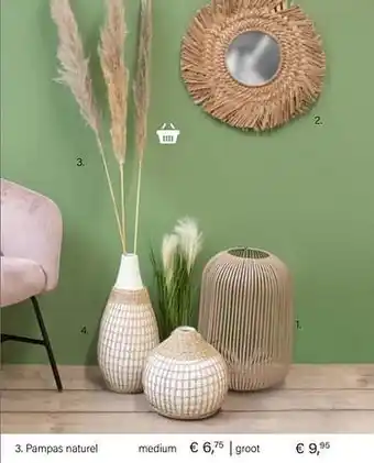 Multi bazar Pampas naturel aanbieding