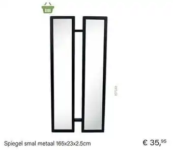 Multi bazar Spiegel smal metaal 165x23x2.5cm aanbieding