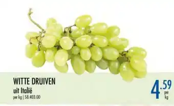 Witte Druiven