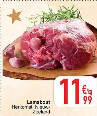 Cora Lamsbout aanbieding