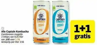 Alle captain kombucha