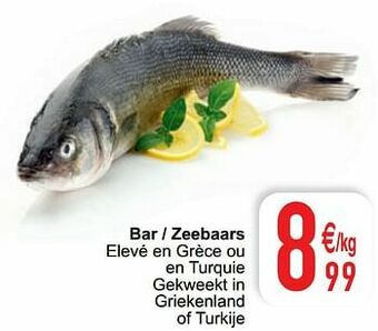 Cora Bar - zeebaars aanbieding