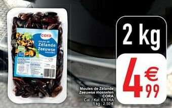 Cora Moules de zélande zeeuwse mosselen cora aanbieding
