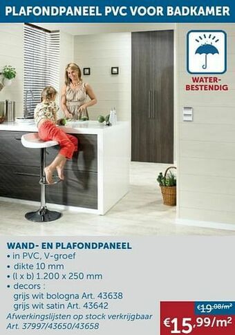 Wand- en plafondpaneel