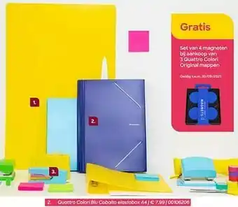 Quattro colori blu cobalto elastobox a4