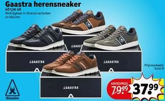 Gaastra herensneaker scott m