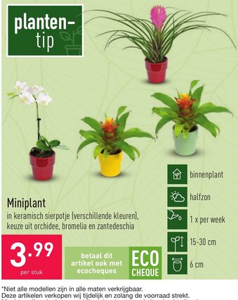 Miniplant