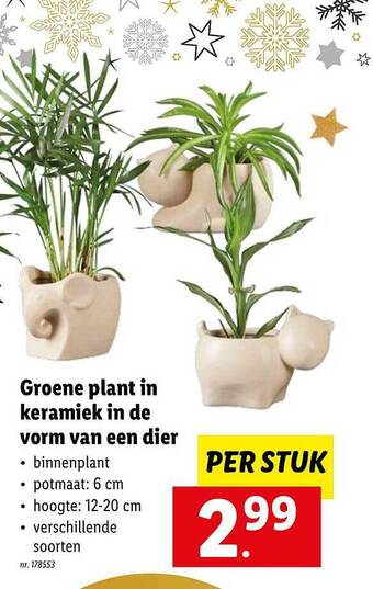 Lidl Groene plant in keramiek in de vorm van een dier aanbieding