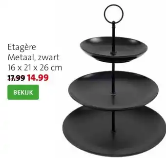 Intratuin Etagere metaal aanbieding