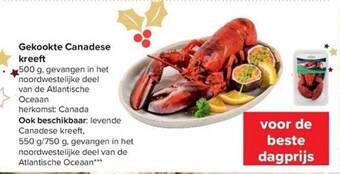 Gekookte canadese kreeft