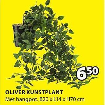 Jysk Oliver kunstplant aanbieding