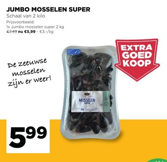 Jumbo Mosselen Super