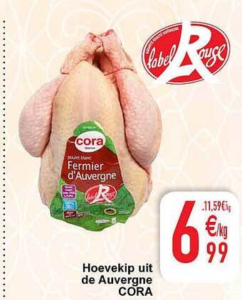 Cora Hoevekip uit de auvergne cora aanbieding