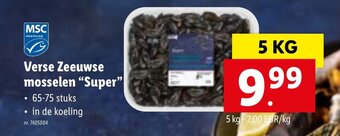 Lidl Verse Zeeuwse mosselen Super aanbieding