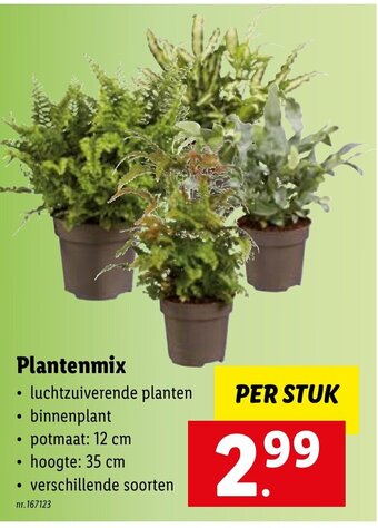 Lidl Plantenmix aanbieding