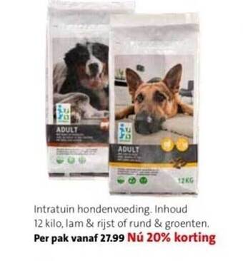 Intratuin hondenvoeding