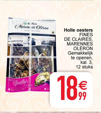 Holle oesters