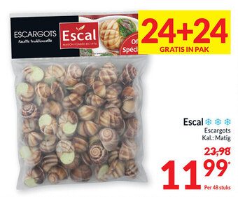 Escal Escargots
