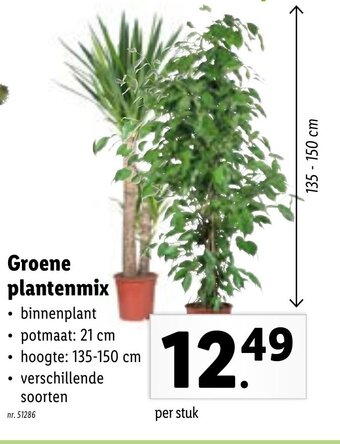 Lidl Groene plantenmix aanbieding