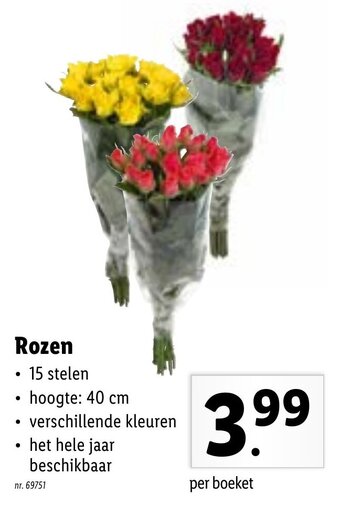 Lidl Rozen aanbieding