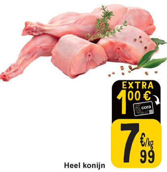 Cora Heel konijn aanbieding