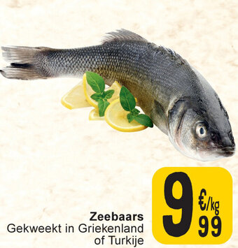 Cora Zeebaars aanbieding
