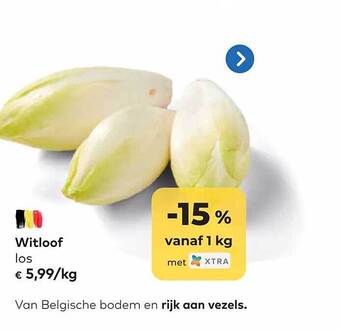 Bio Planet Witloof aanbieding