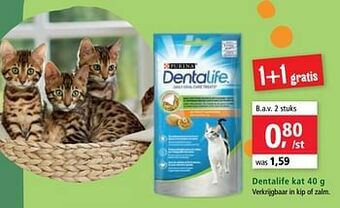 Maxi Zoo Dentalife kat aanbieding