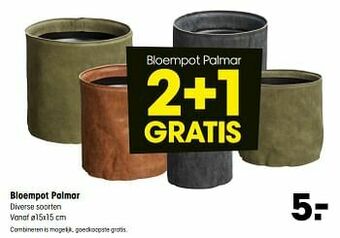 Kwantum Bloempot palmar aanbieding