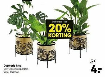 Kwantum Decoratie rice aanbieding