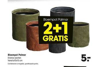 Kwantum Bloempot Palmar aanbieding