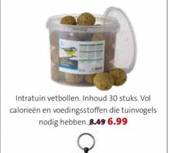 Intratuin Intratuin vetbollen aanbieding