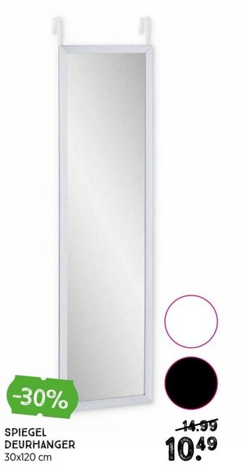 Spiegel Deurhanger 30x120cm