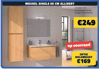 Bouwcenter Frans Vlaeminck Meubel single 80 cm allibert aanbieding