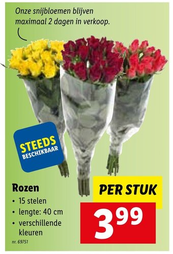 Lidl Rozen aanbieding