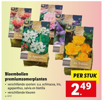 Lidl Bloembollen premiumzomerplanten aanbieding