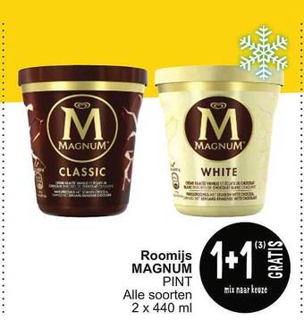 Cora Roomijs magnum aanbieding